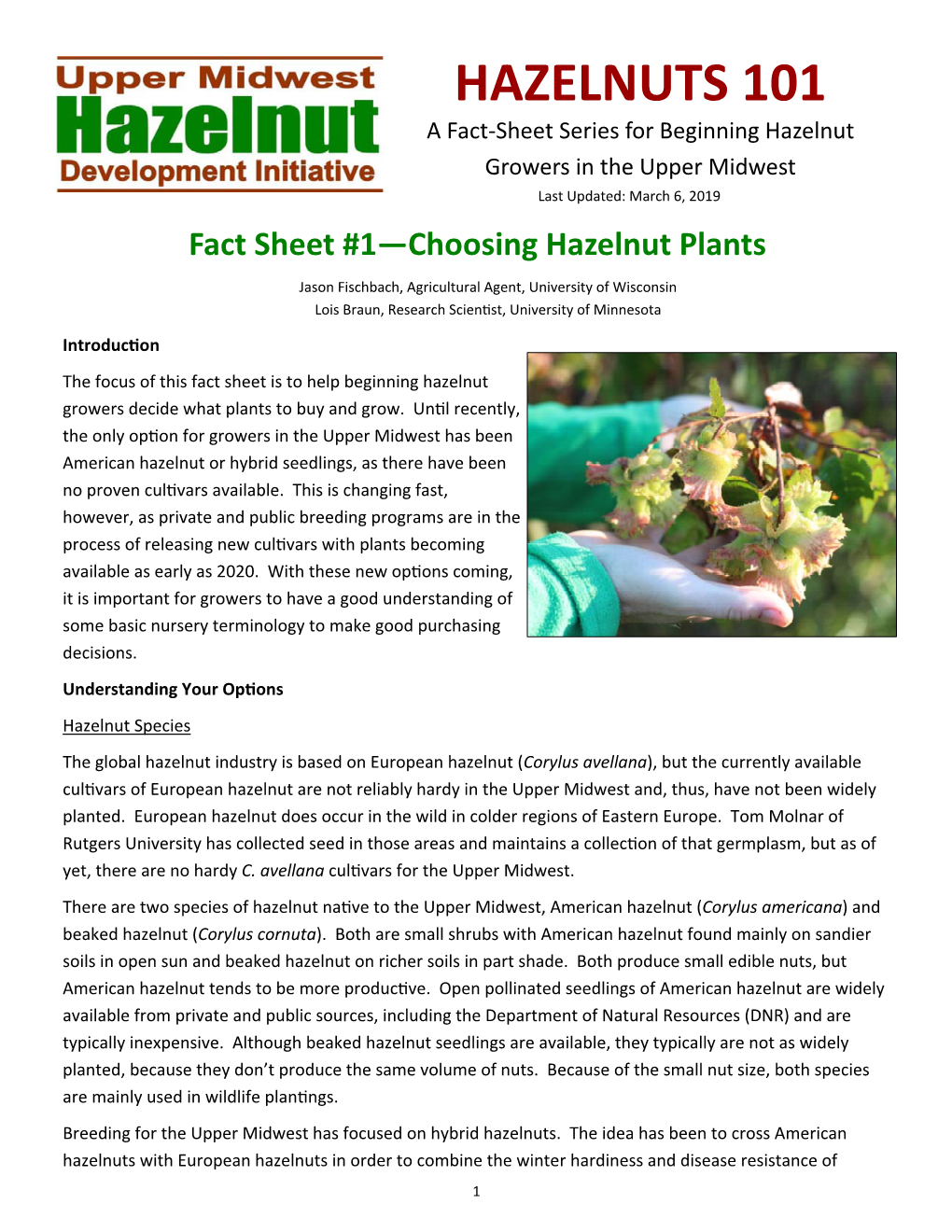 A Fact‐Sheet Series for Beginning Hazelnut Growers in the Upper Midwest Last Updated: March 6, 2019 Fact Sheet #1—Choosing Hazelnut Plants