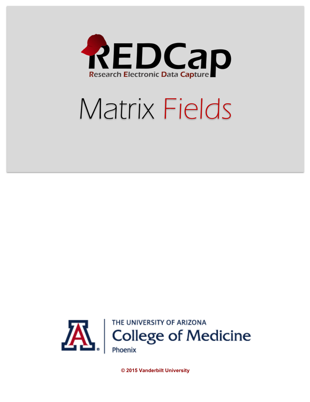 Redcap Matrix Fields