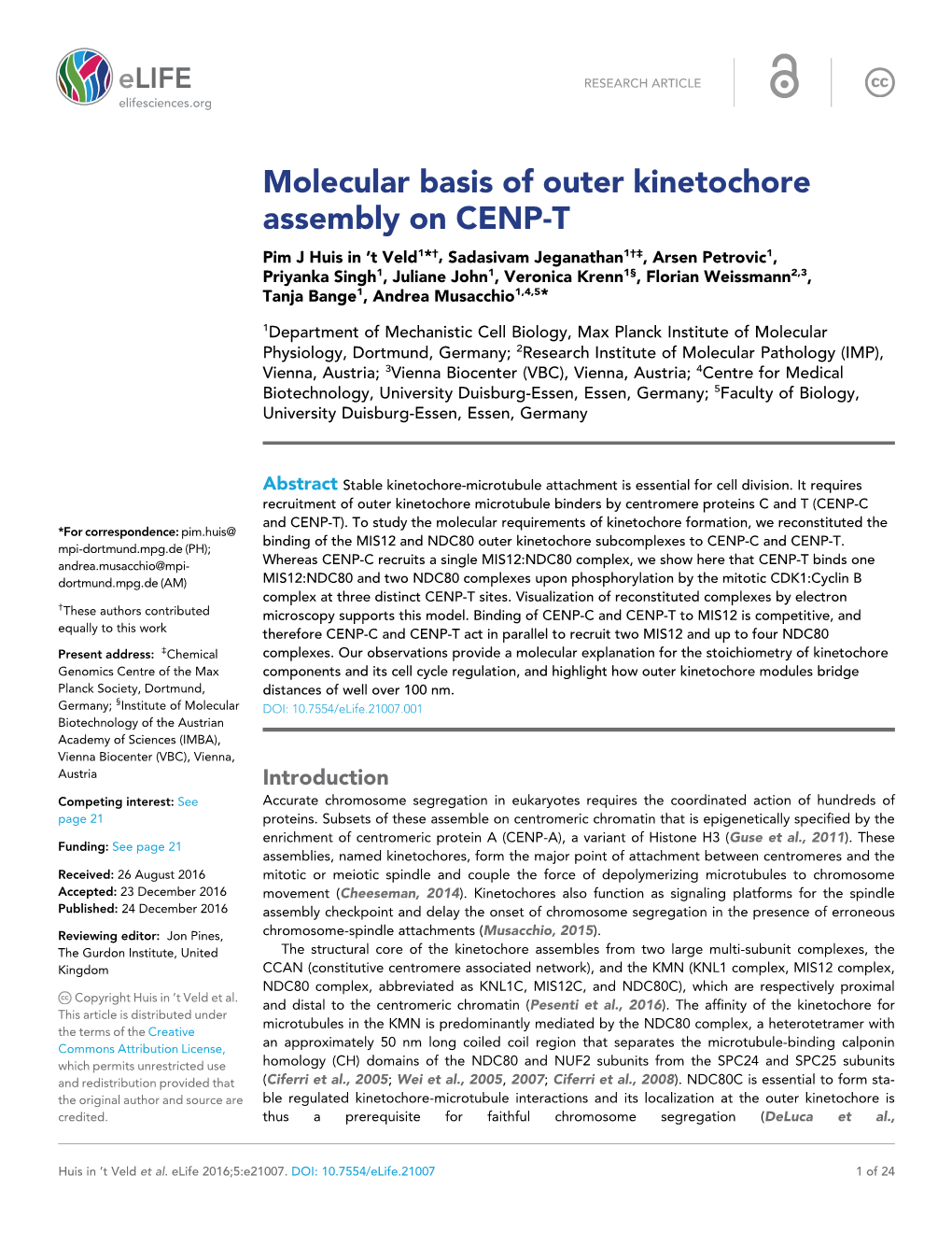 Molecular Basis of Outer Kinetochore Assembly on CENP-T