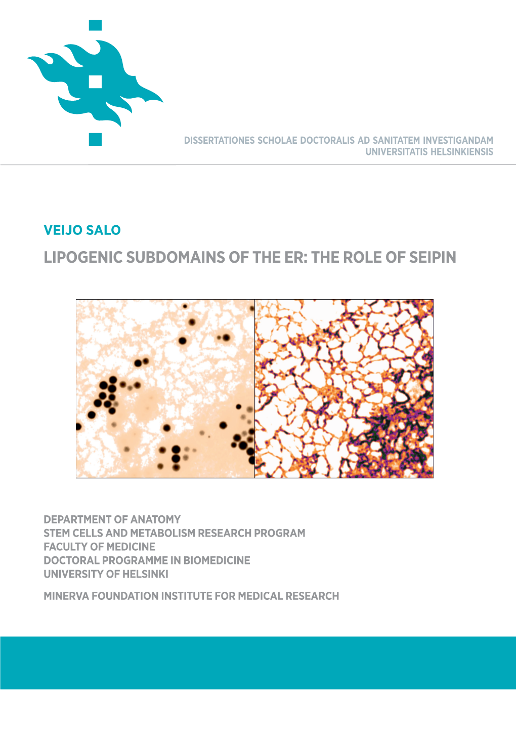 Lipogenic Subdomains of the Er: the Role of Seipin 24/2020 Online)