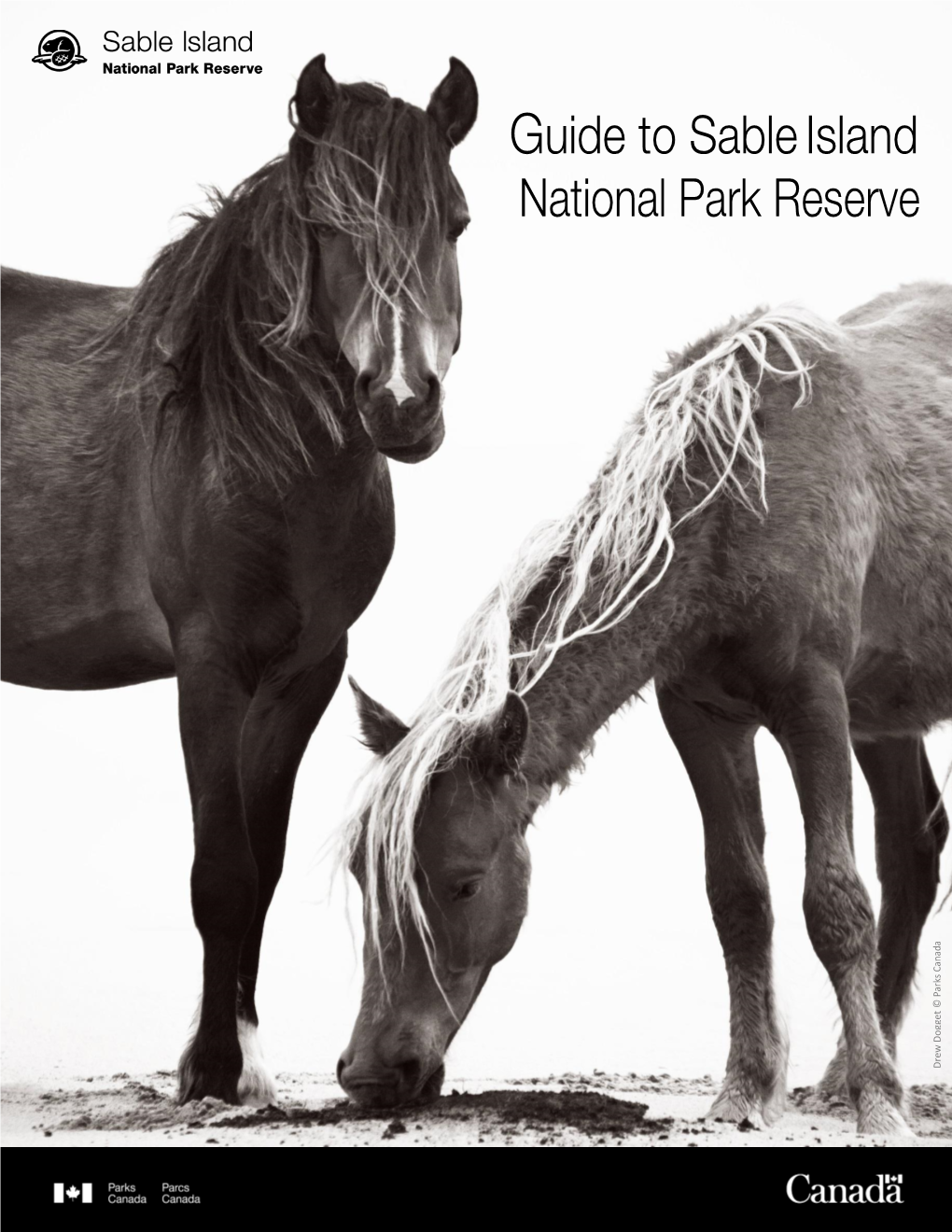 Guide to Sable Island National Park Reserve
