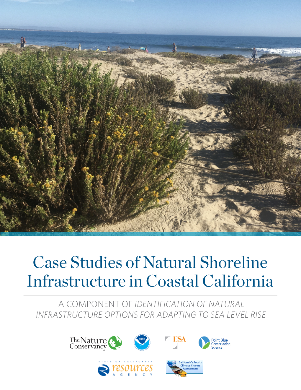 Case Studies of Natural Shoreline Infrastructure in Coastal California