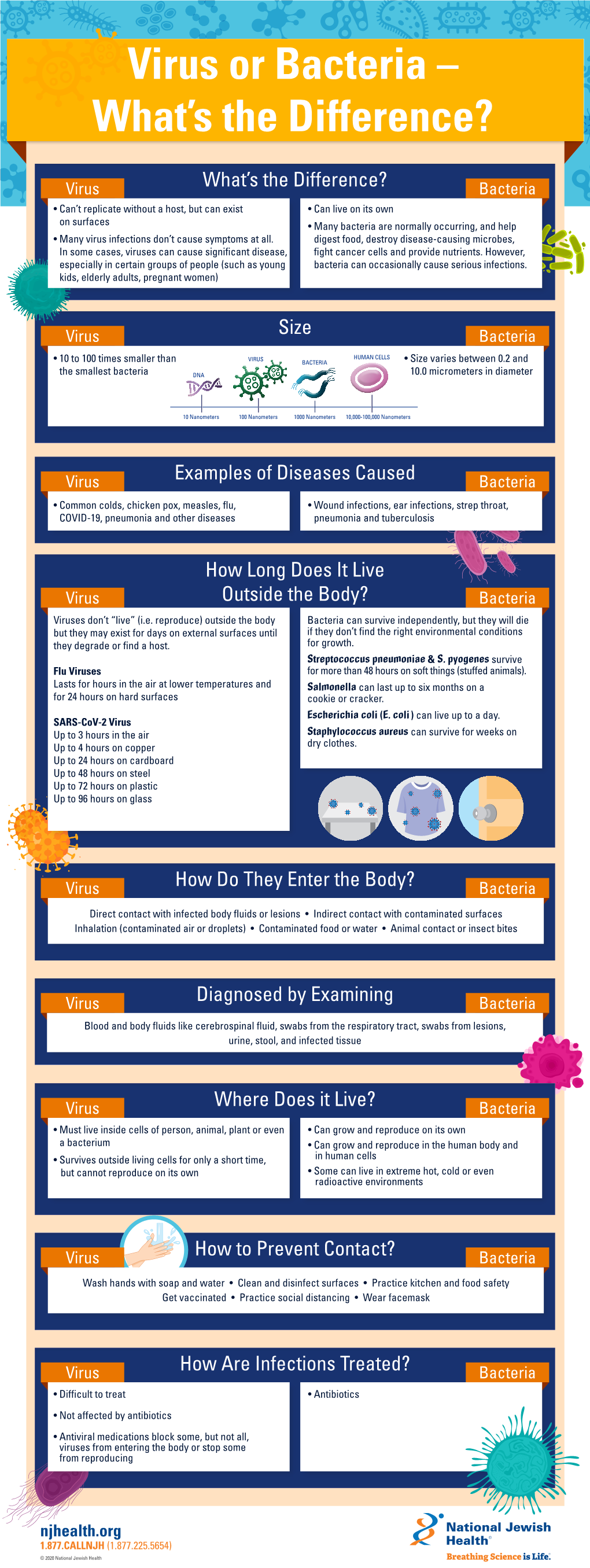 Virus Or Bacteria – What’S the Difference?