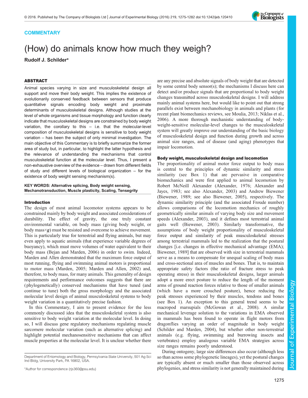 (How) Do Animals Know How Much They Weigh? Rudolf J