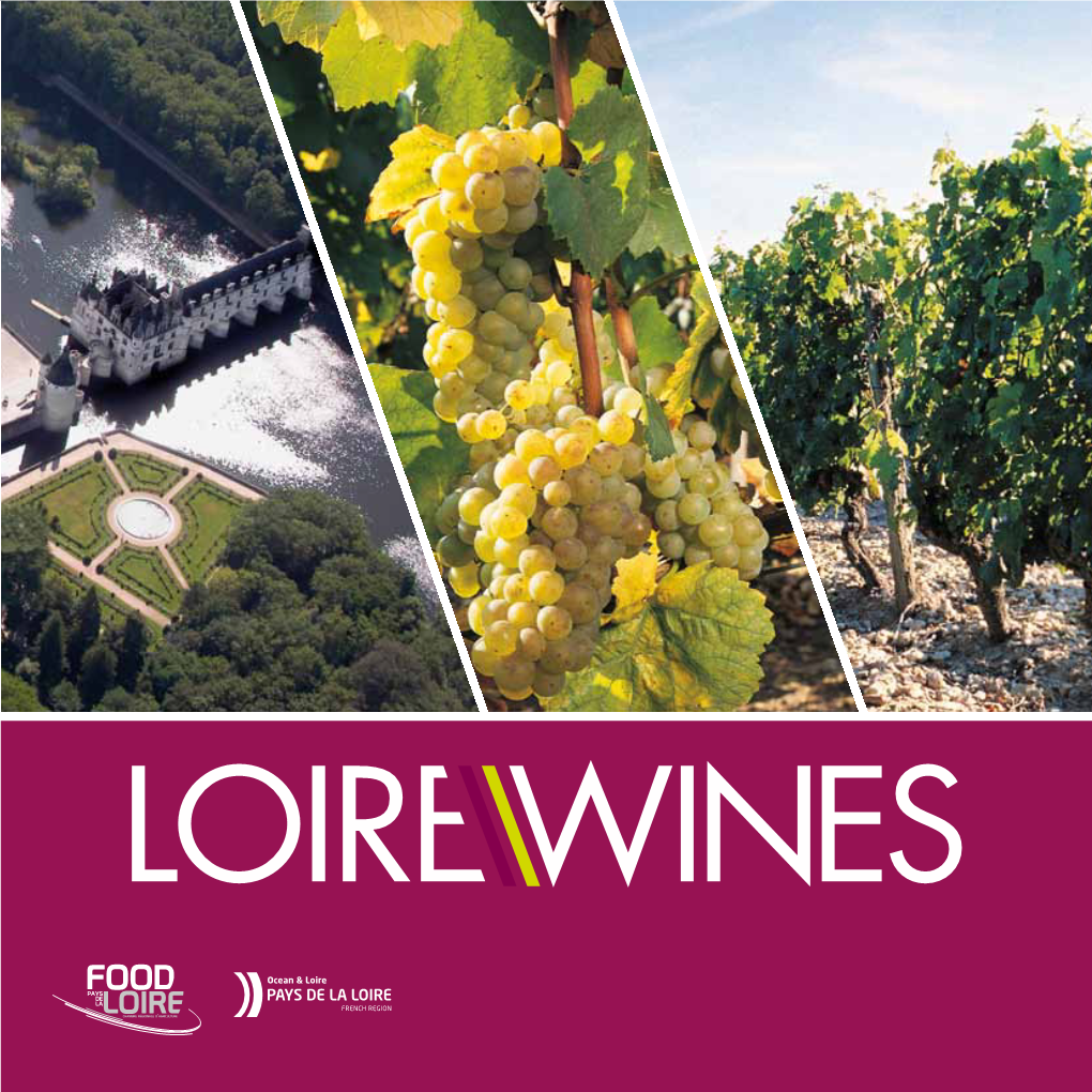 The History of Loire Valley Wines