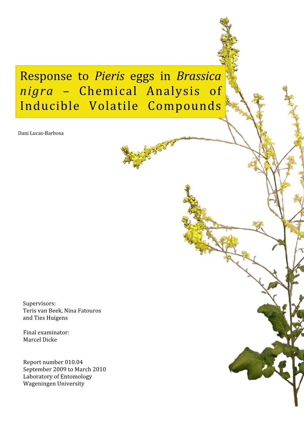 Response to Pieris Eggs in Brassica Nigra – Chemical Analysis of Inducible Volatile Compounds