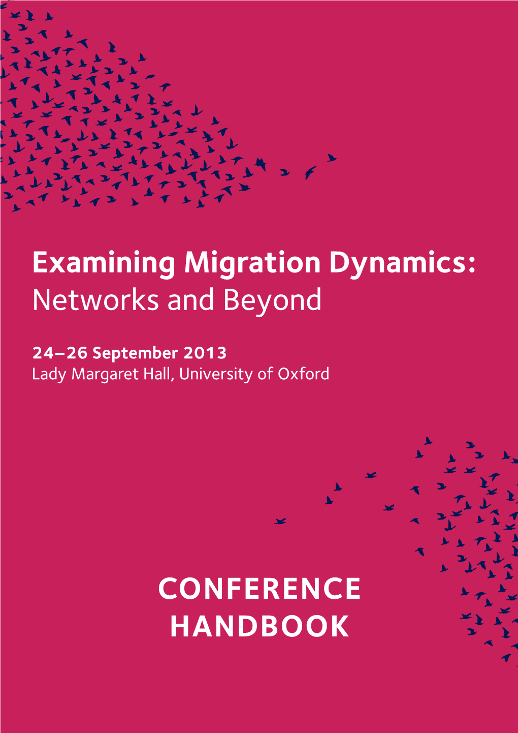 Examining Migration Dynamics: Networks and Beyond