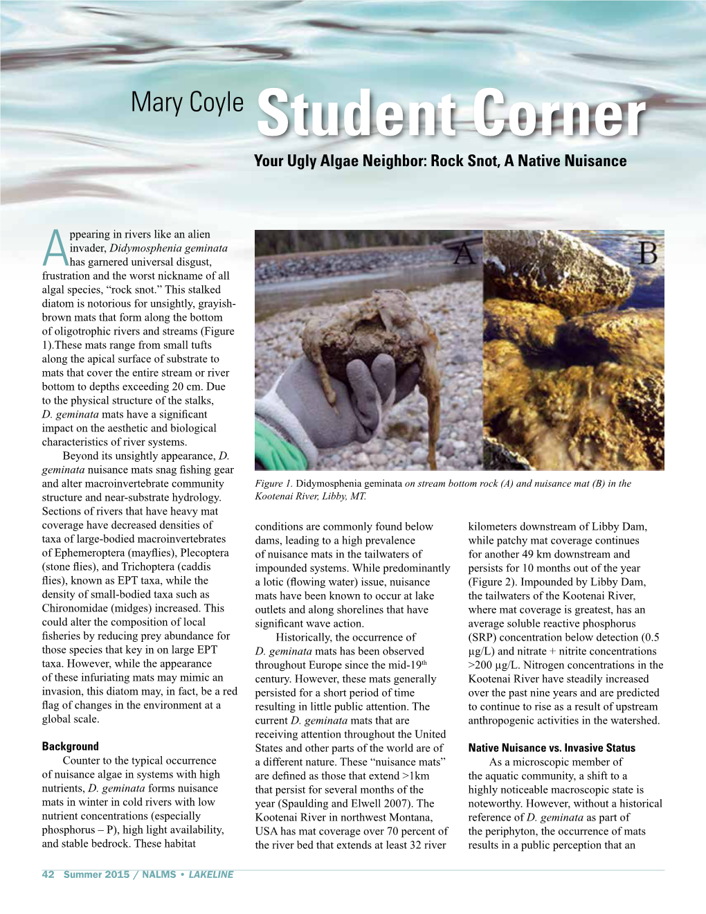 Mary Coyle Student Corner Your Ugly Algae Neighbor: Rock Snot, a Native Nuisance