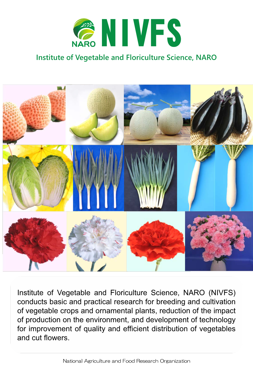 Institute of Vegetable and Floriculture Science, NARO