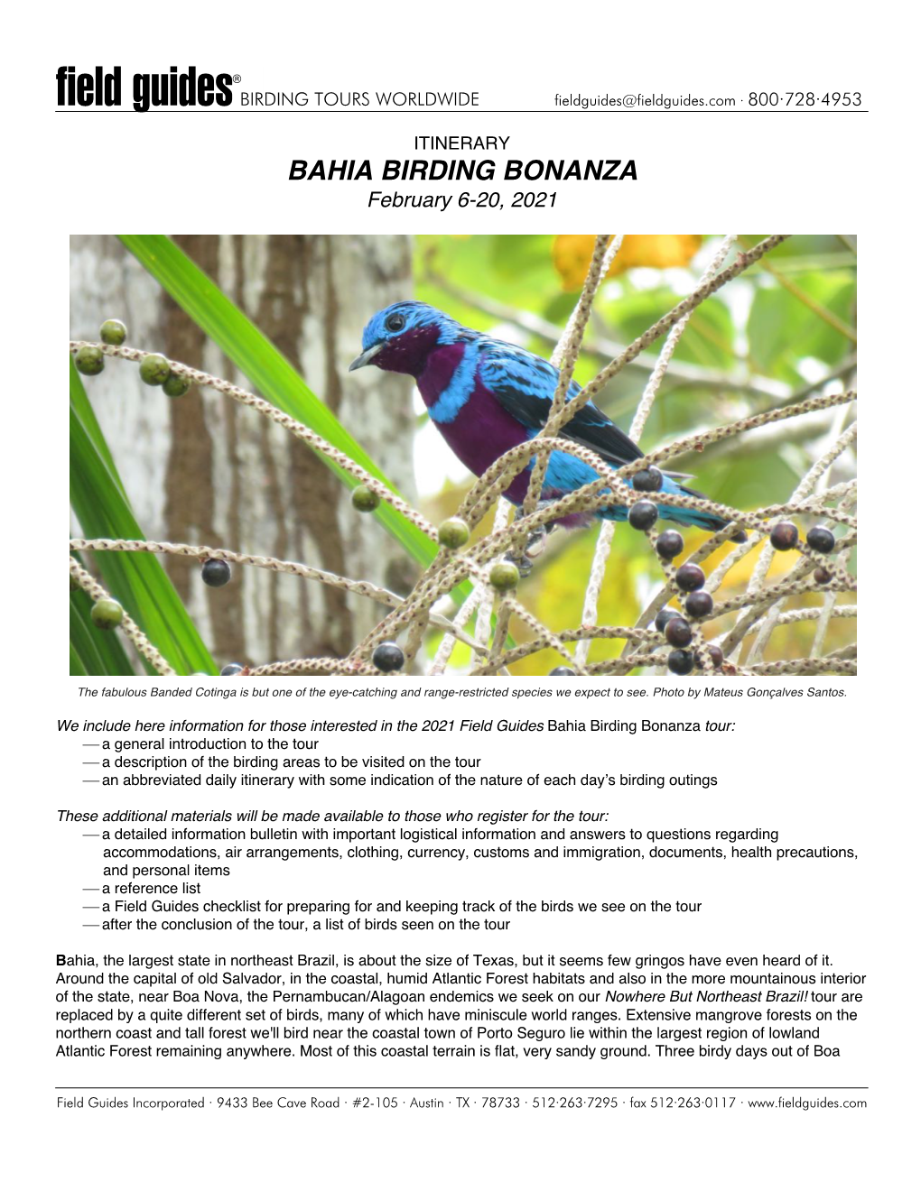 BAHIA BIRDING BONANZA February 6-20, 2021