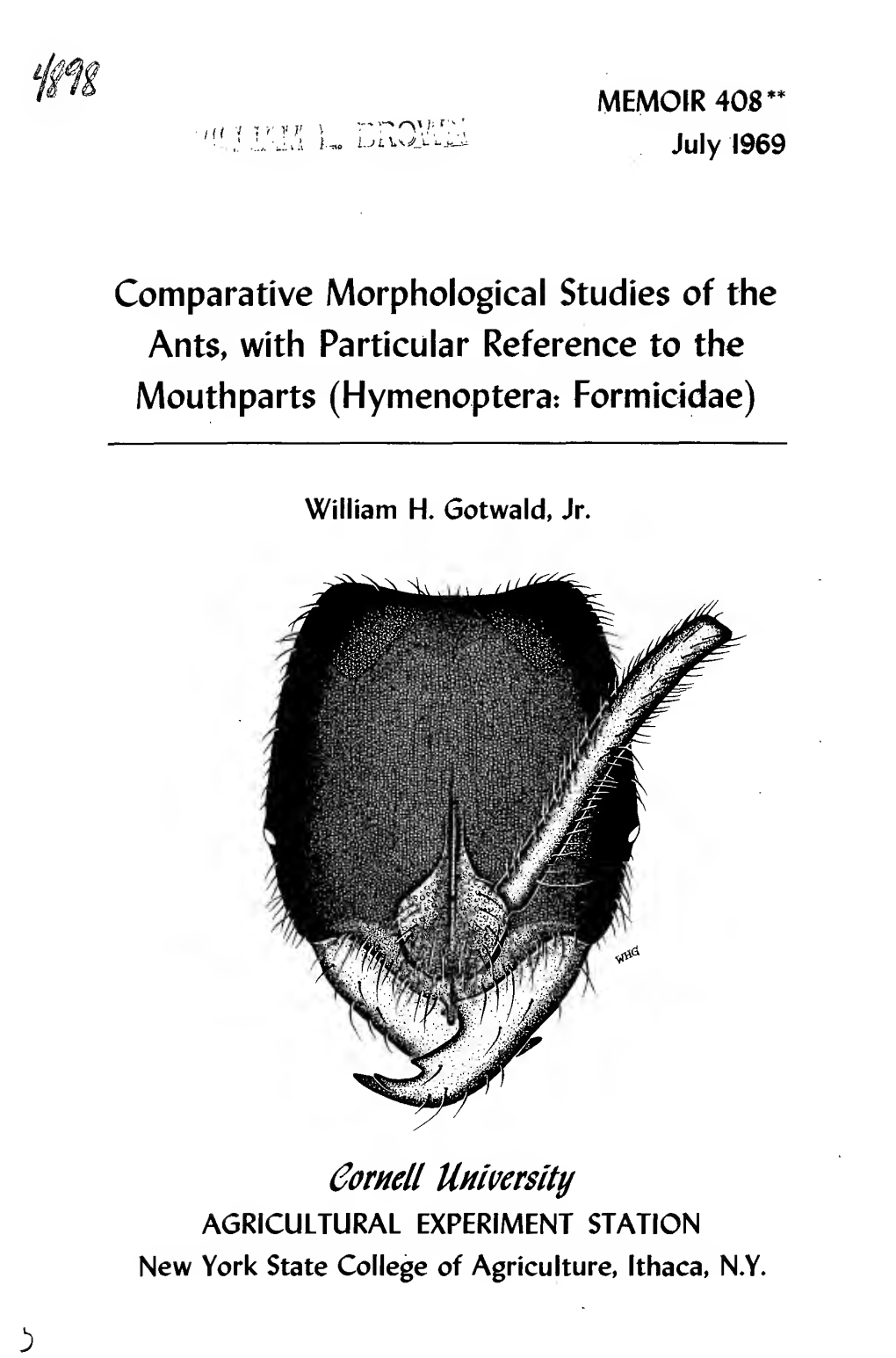 Comparative Morphological Studies of the Ants, with Particular Reference To