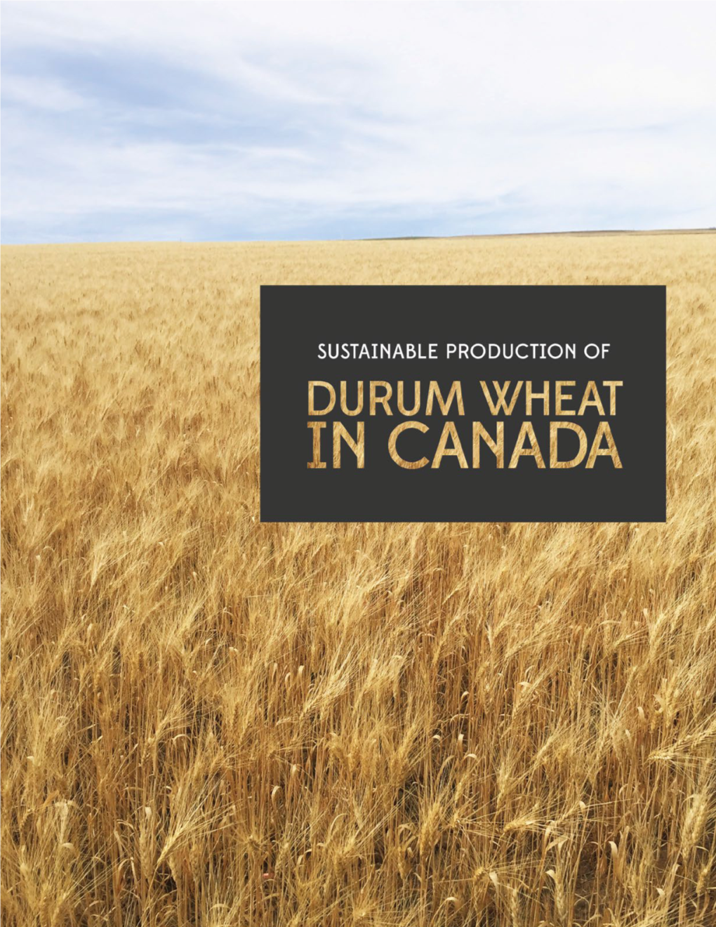 Sustainable Production of Durum Wheat in Canada
