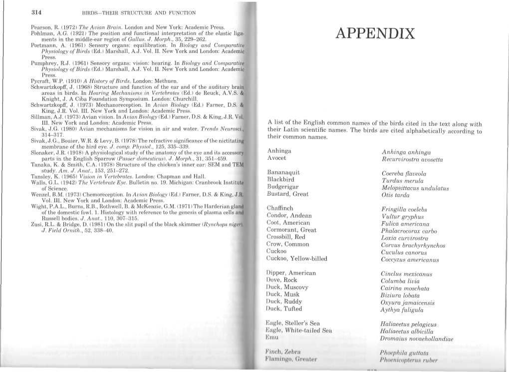 King & Mclelland-17-Appendix