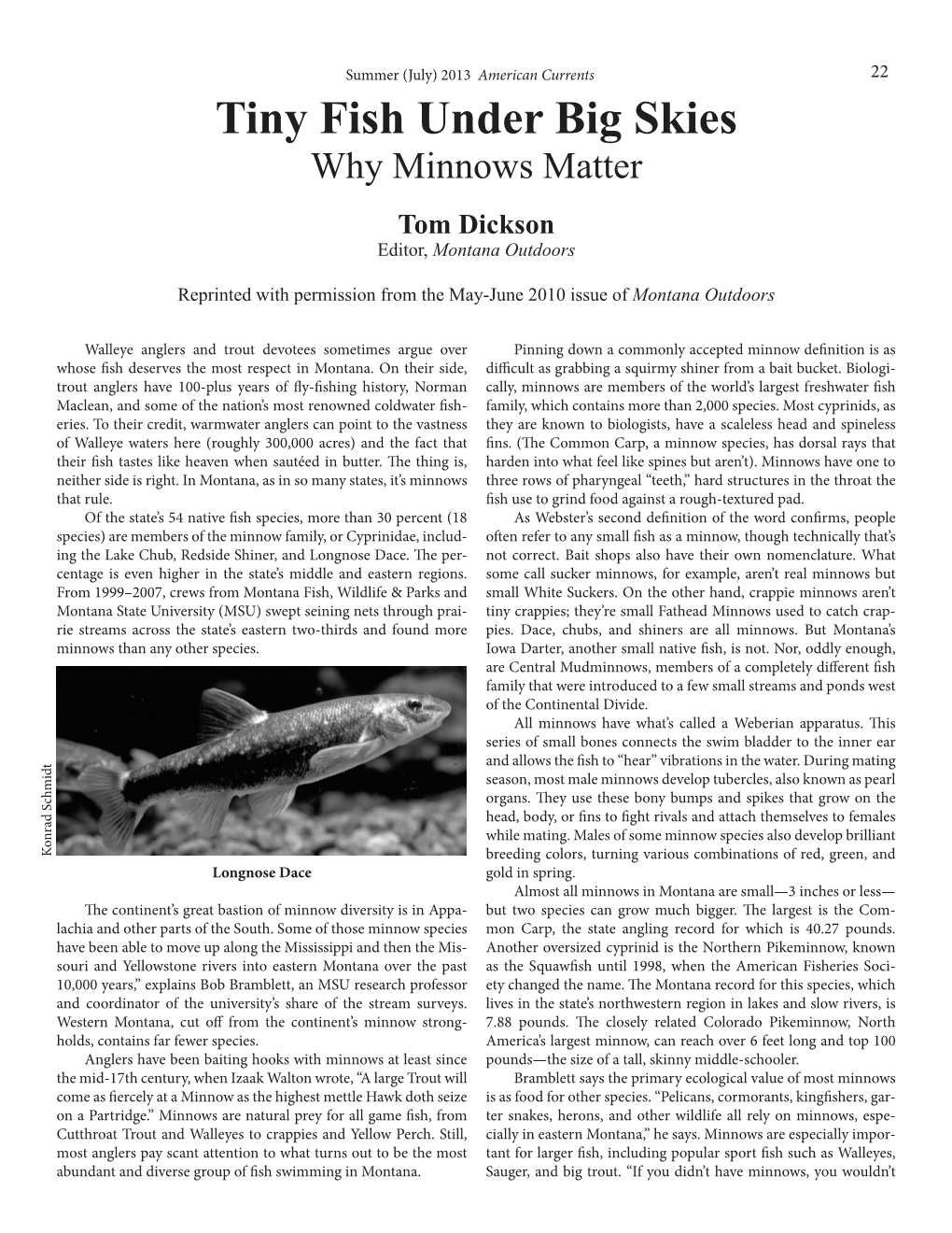 Tiny Fish Under Big Skies Why Minnows Matter Tom Dickson Editor, Montana Outdoors