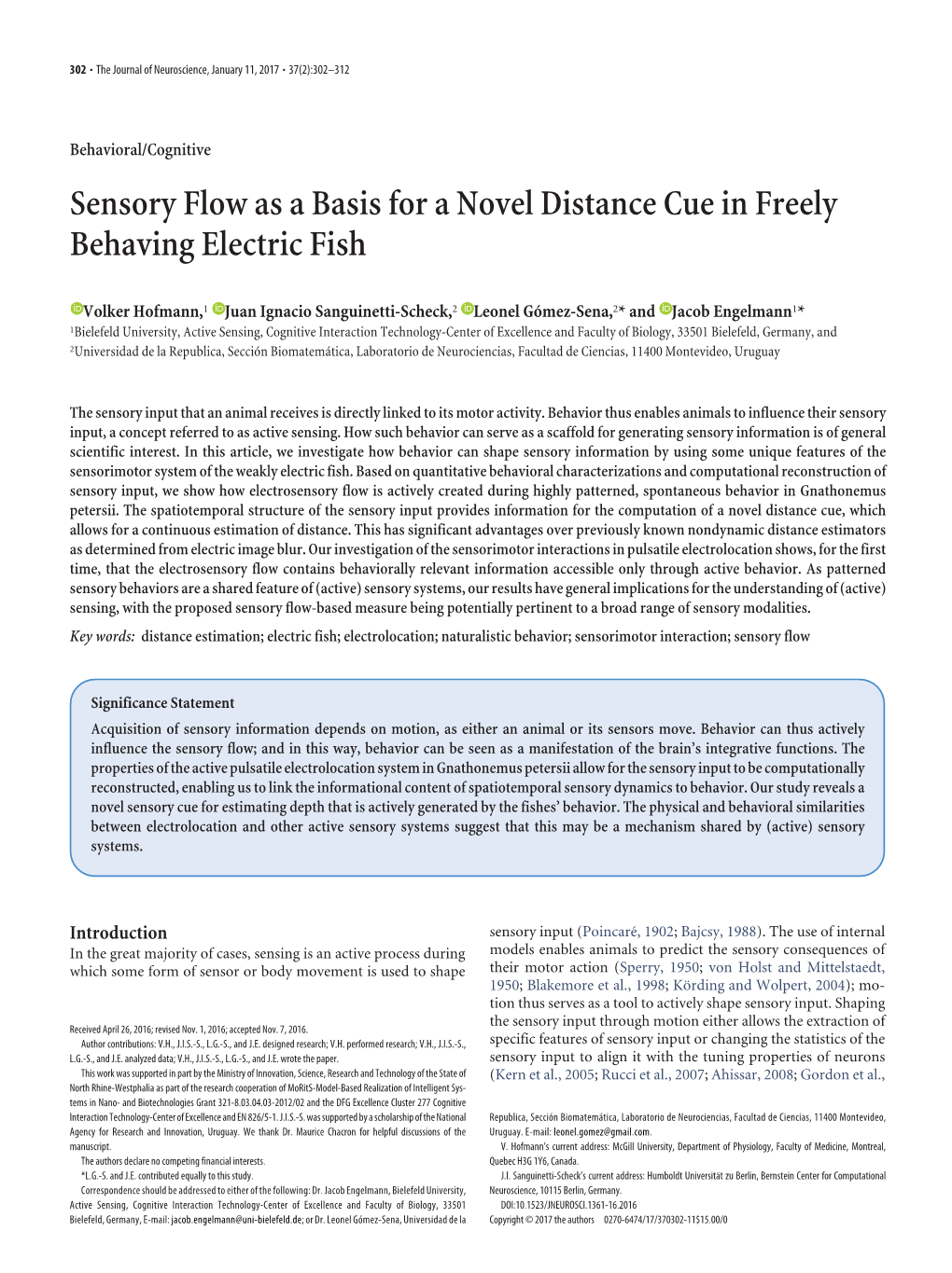 Sensory Flow As a Basis for a Novel Distance Cue in Freely Behaving Electric Fish