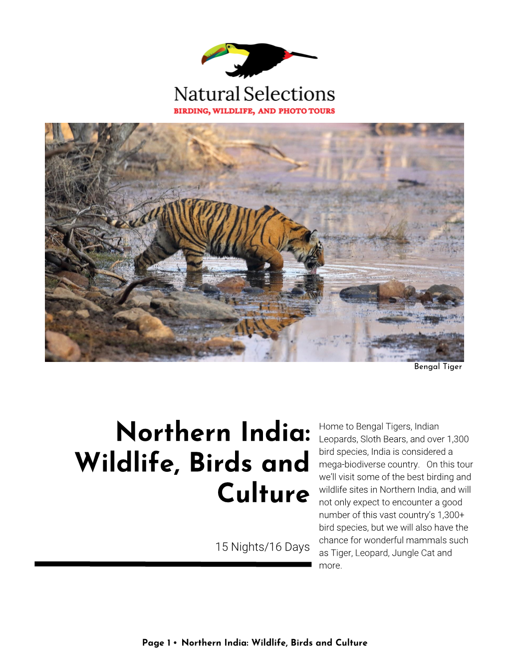 Northern India: Wildlife, Birds and Culture