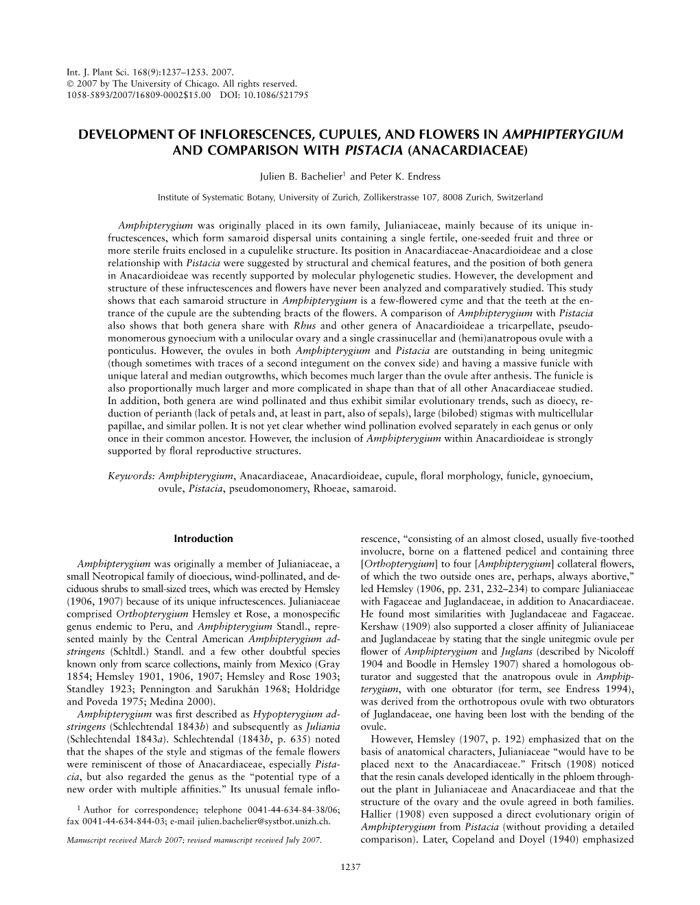 Development of Inflorescences, Cupules, and Flowers in Amphipterygium and Comparison with Pistacia (Anacardiaceae)