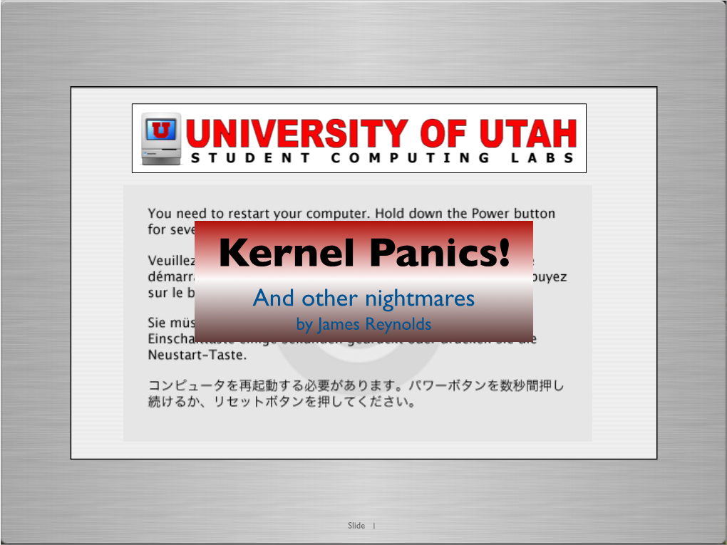 Kernel Panics! and Other Nightmares by James Reynolds