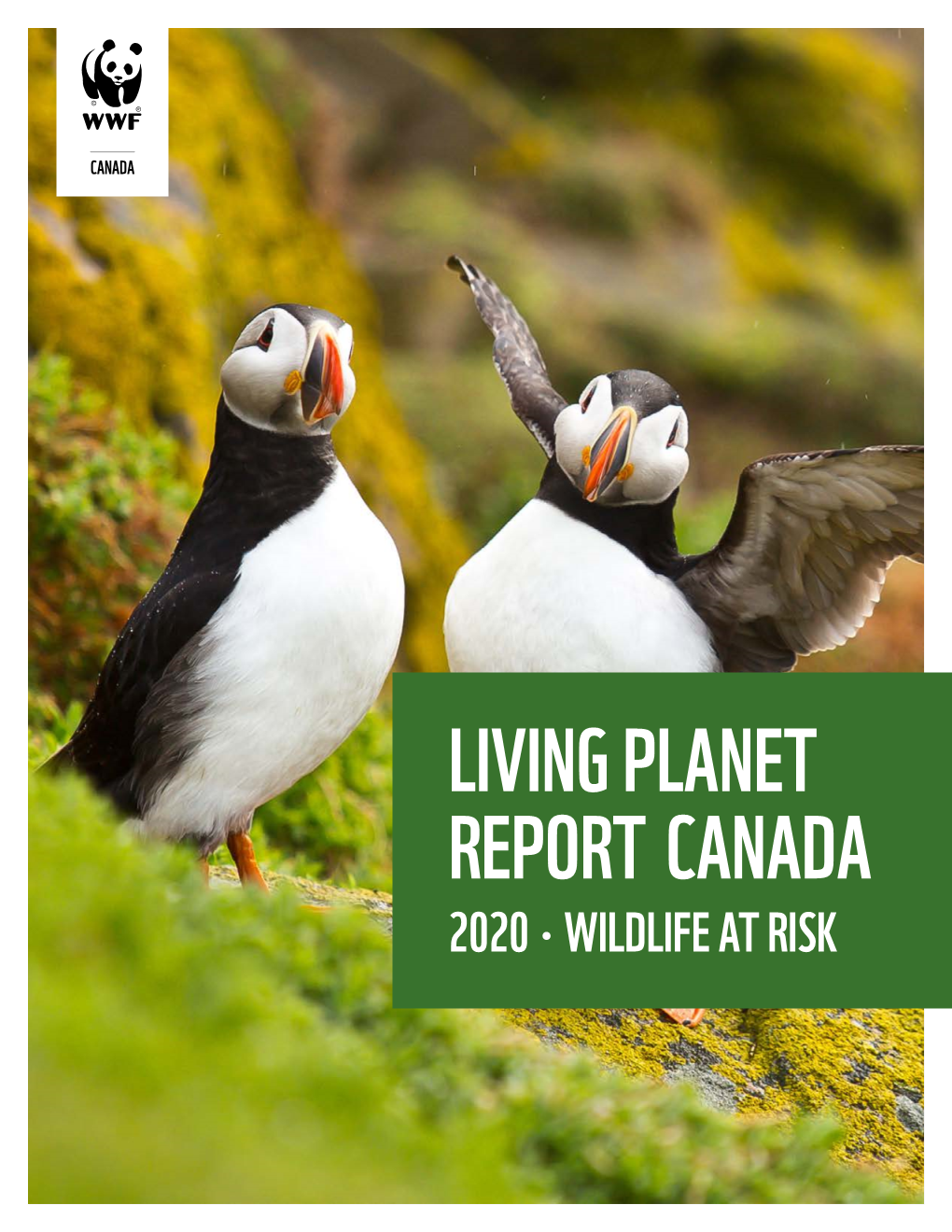 Living Planet Report Canada 2020 • Wildlife at Risk