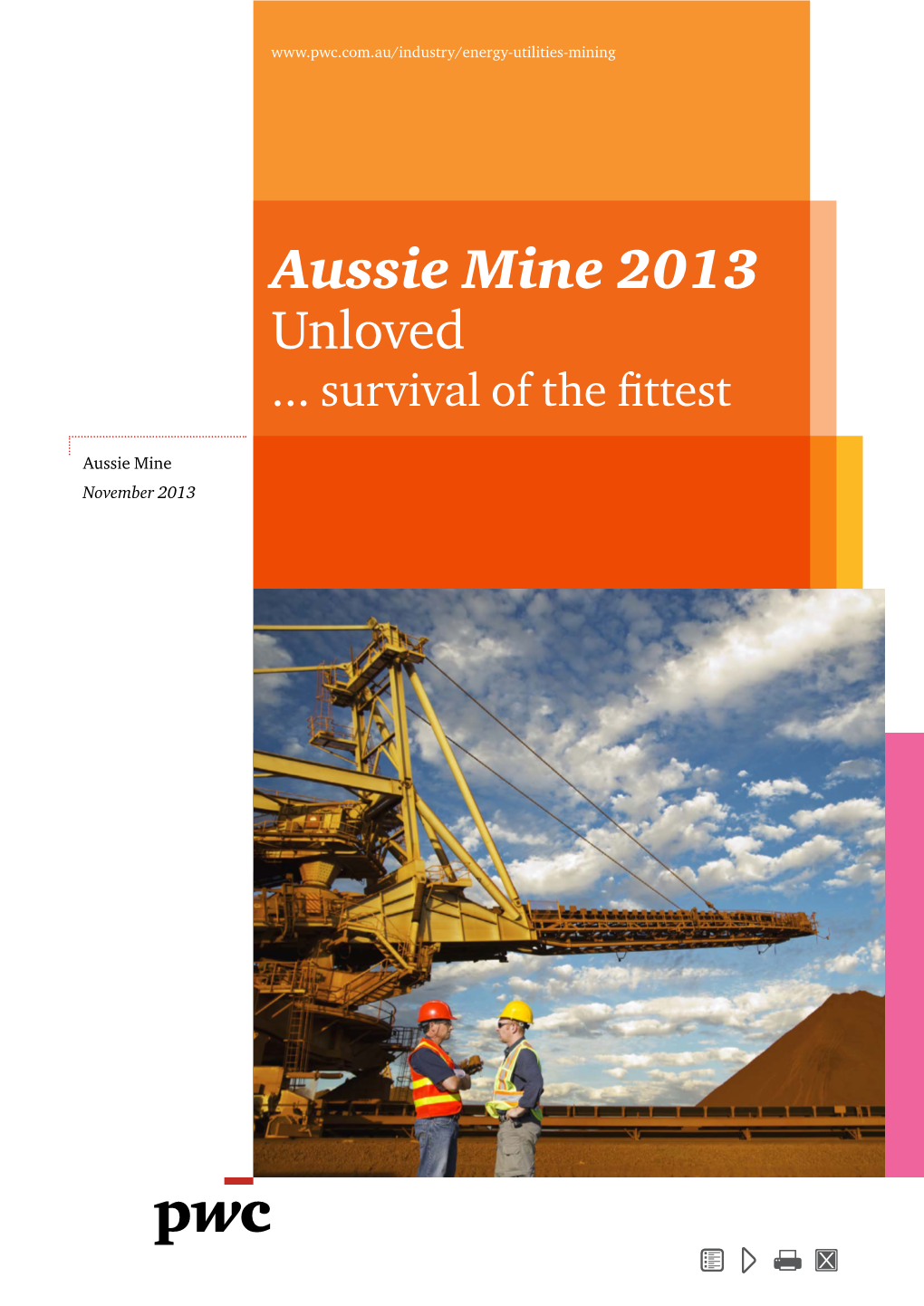 Aussie Mine 2013 Unloved