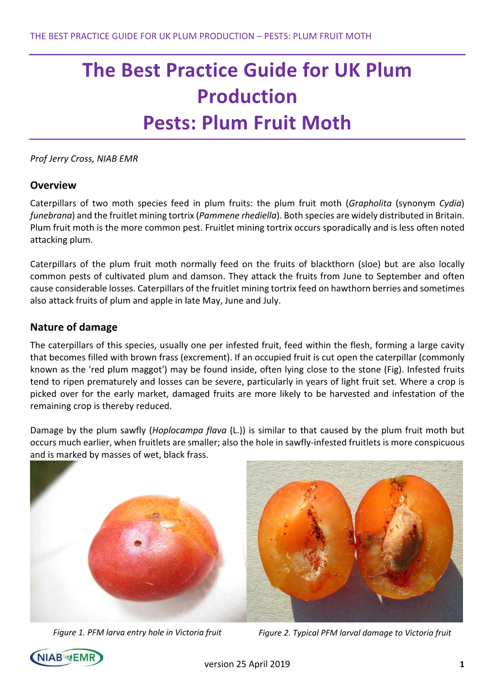 The Best Practice Guide for UK Plum Production Pests: Plum Fruit Moth