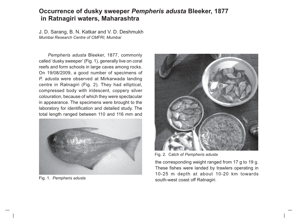 Occurrence of Dusky Sweeper Pempheris Adusta Bleeker, 1877 in Ratnagiri Waters, Maharashtra