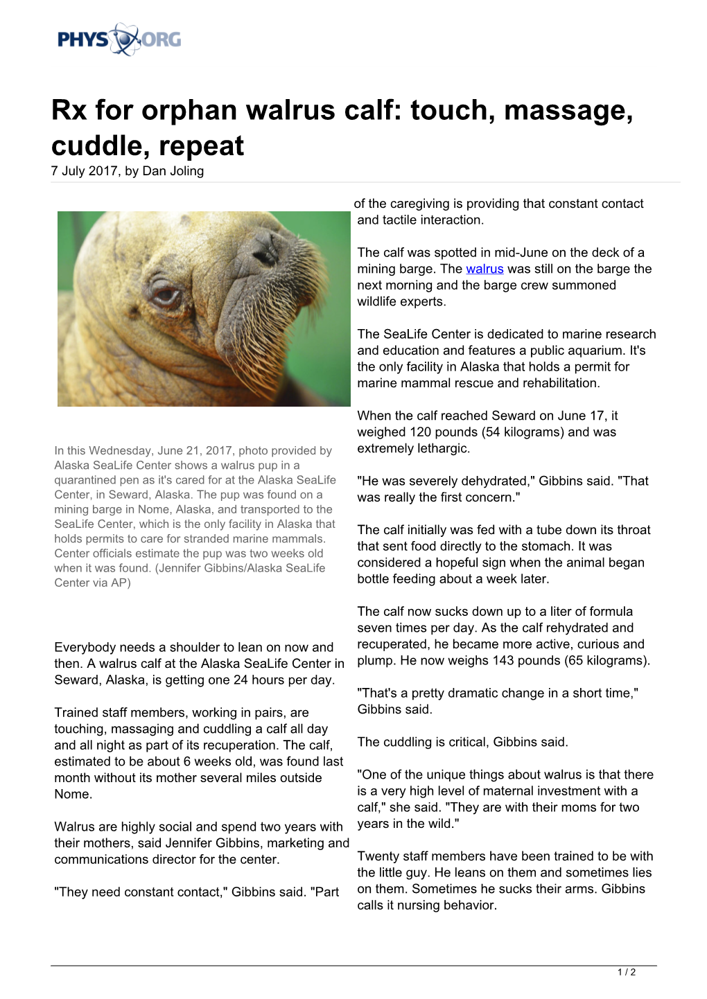 Rx for Orphan Walrus Calf: Touch, Massage, Cuddle, Repeat 7 July 2017, by Dan Joling