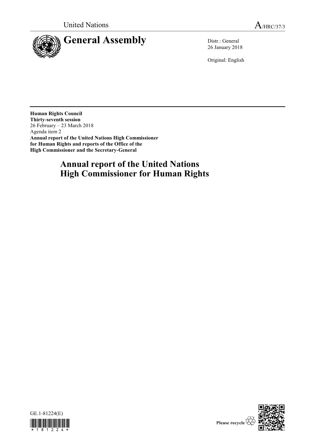 2017 Annual Report of the UN High