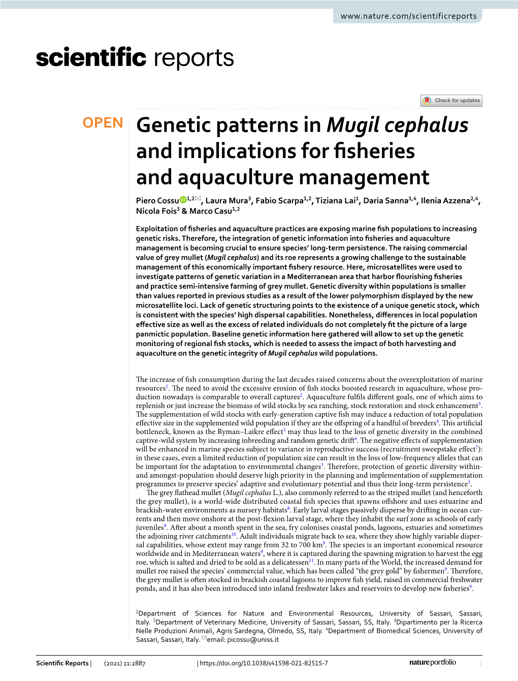 Genetic Patterns in Mugil Cephalus and Implications for Fisheries And