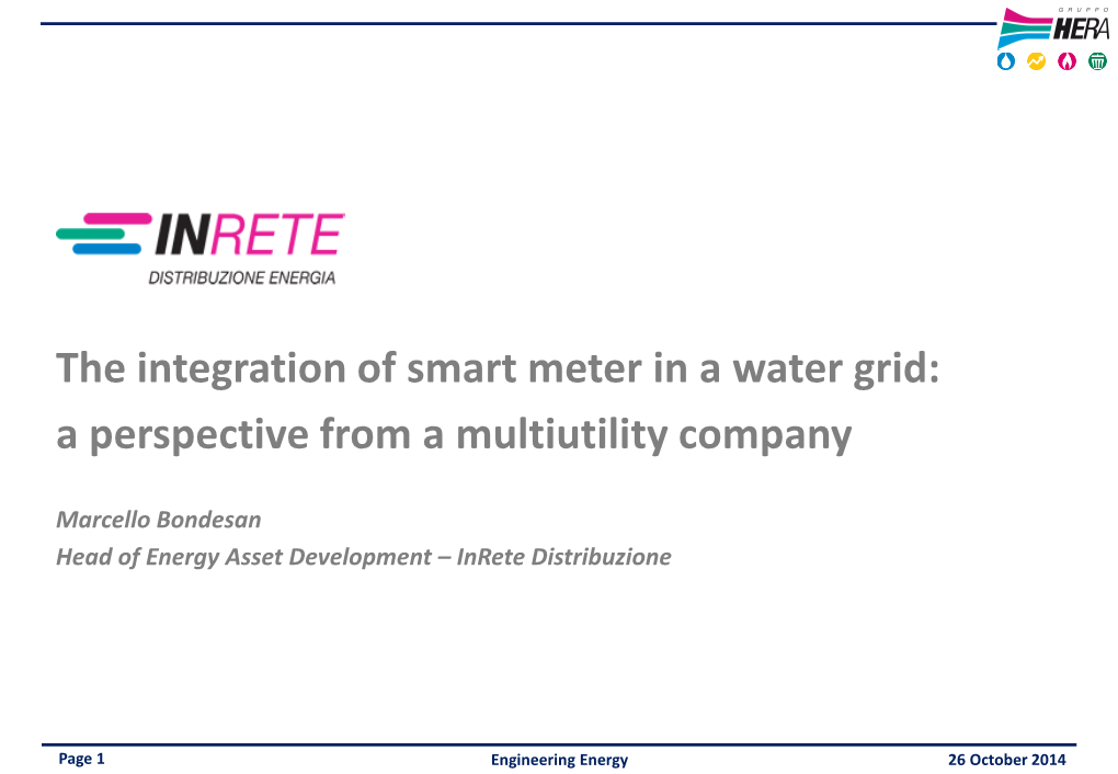 The Integration of Smart Meter in a Water Grid: a Perspective from a Multiutility Company