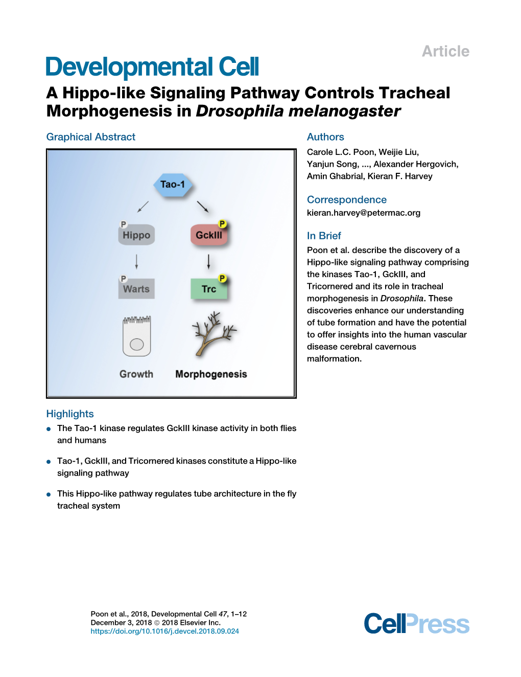 A Hippo-Like Signaling Pathway Controls Tracheal Morphogenesis in Drosophila Melanogaster