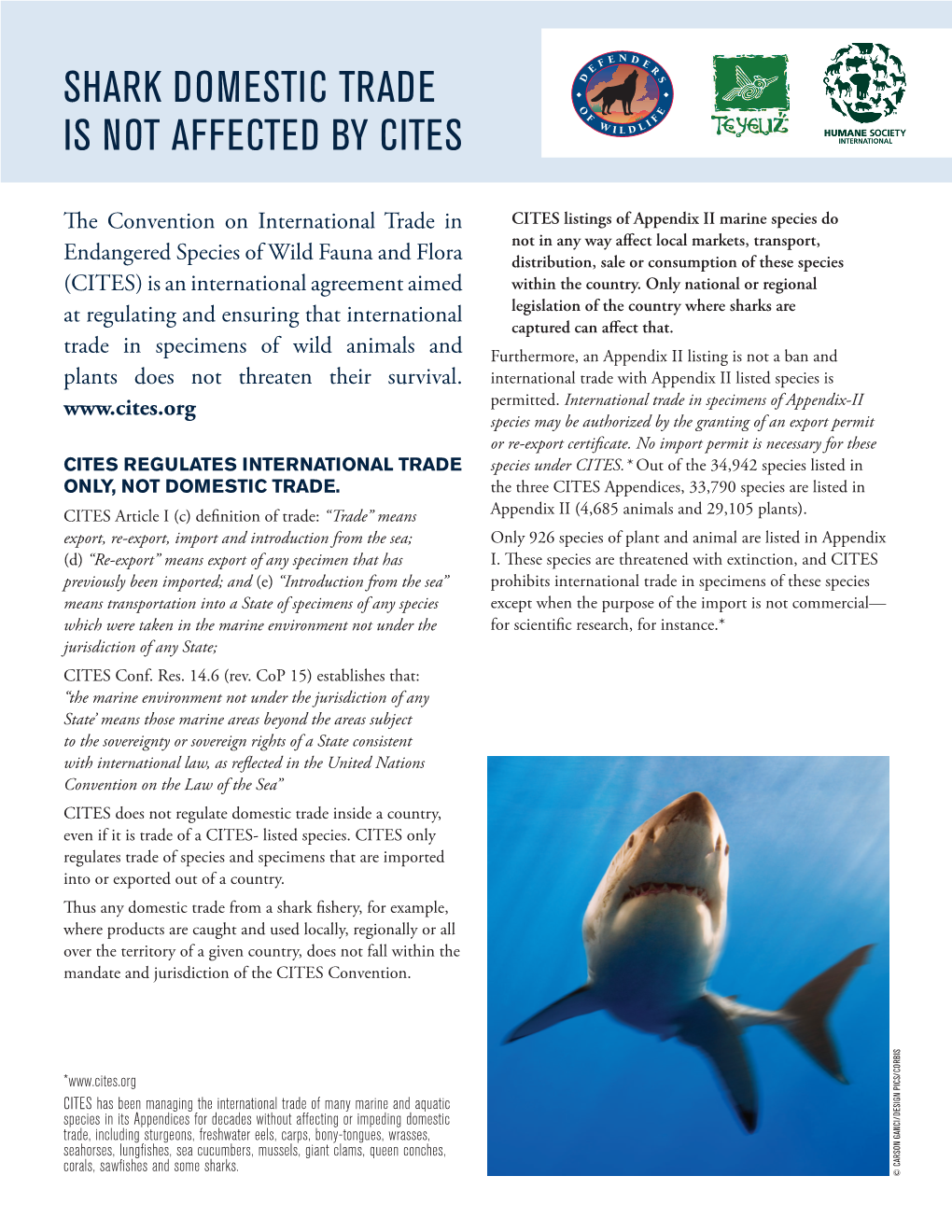 Shark Domestic Trade Is Not Affected by Cites 2