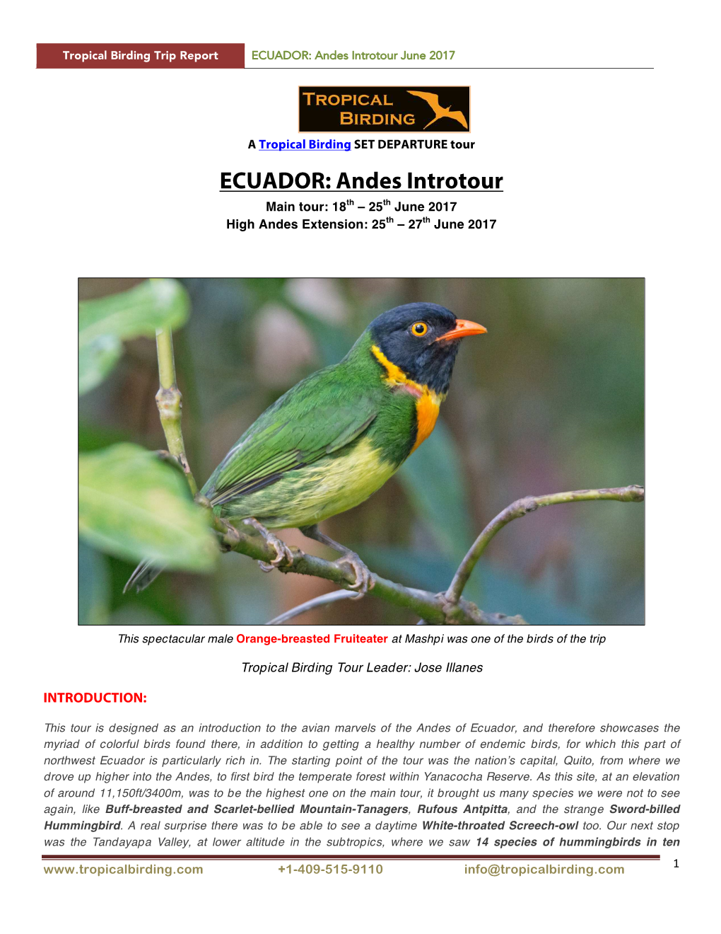 ECUADOR: Andes Introtour June 2017