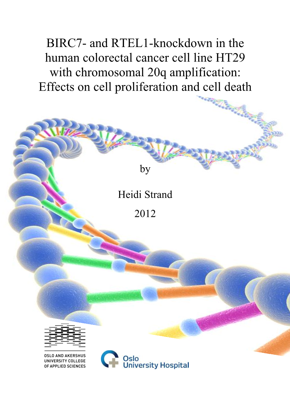 BIRC7- and RTEL1-Knockdown in the Human Colorectal Cancer Cell Line HT29 with Chromosomal 20Q Amplification: Effects on Cell Proliferation and Cell Death