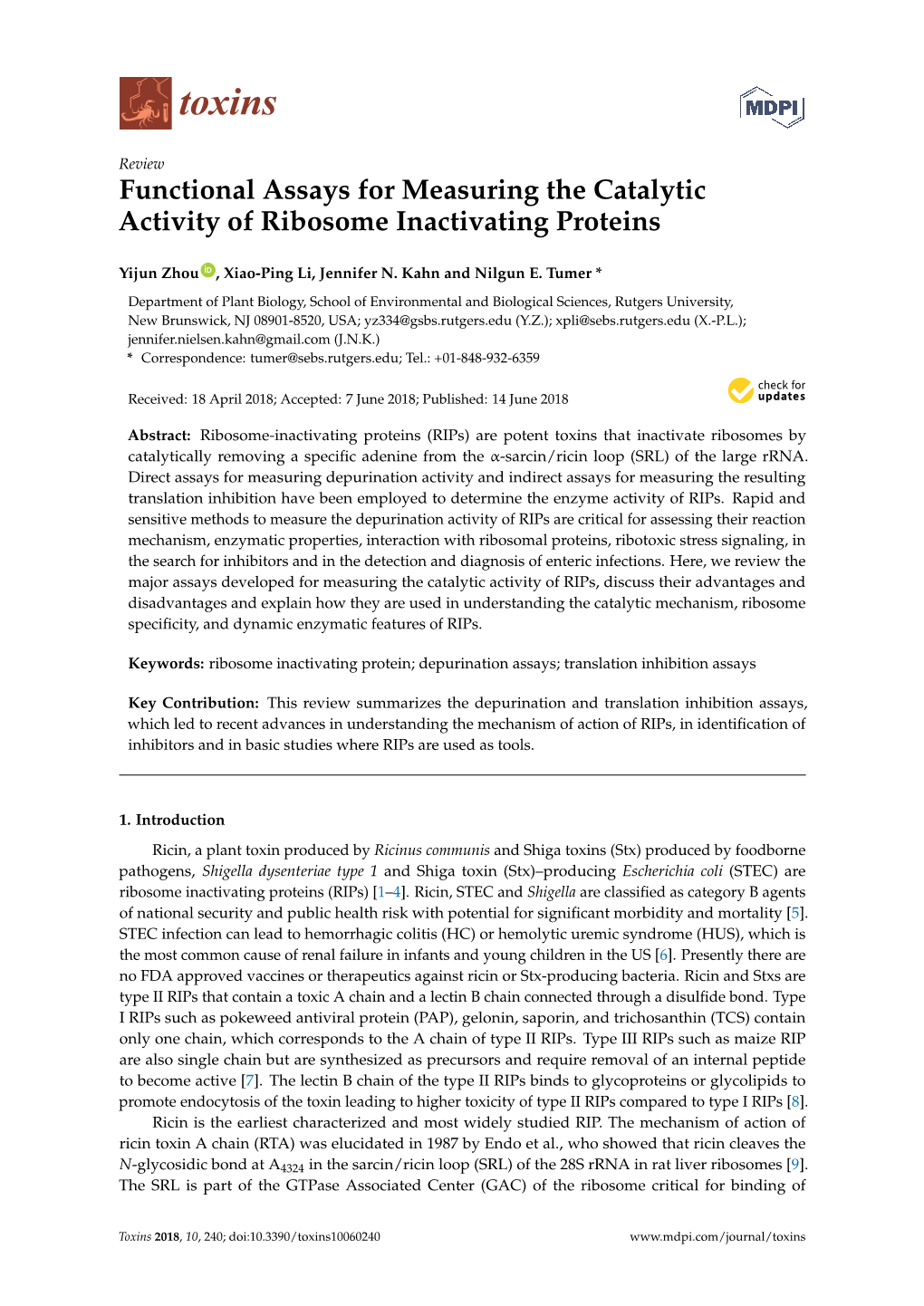 Functional Assays for Measuring the Catalytic Activity of Ribosome Inactivating Proteins