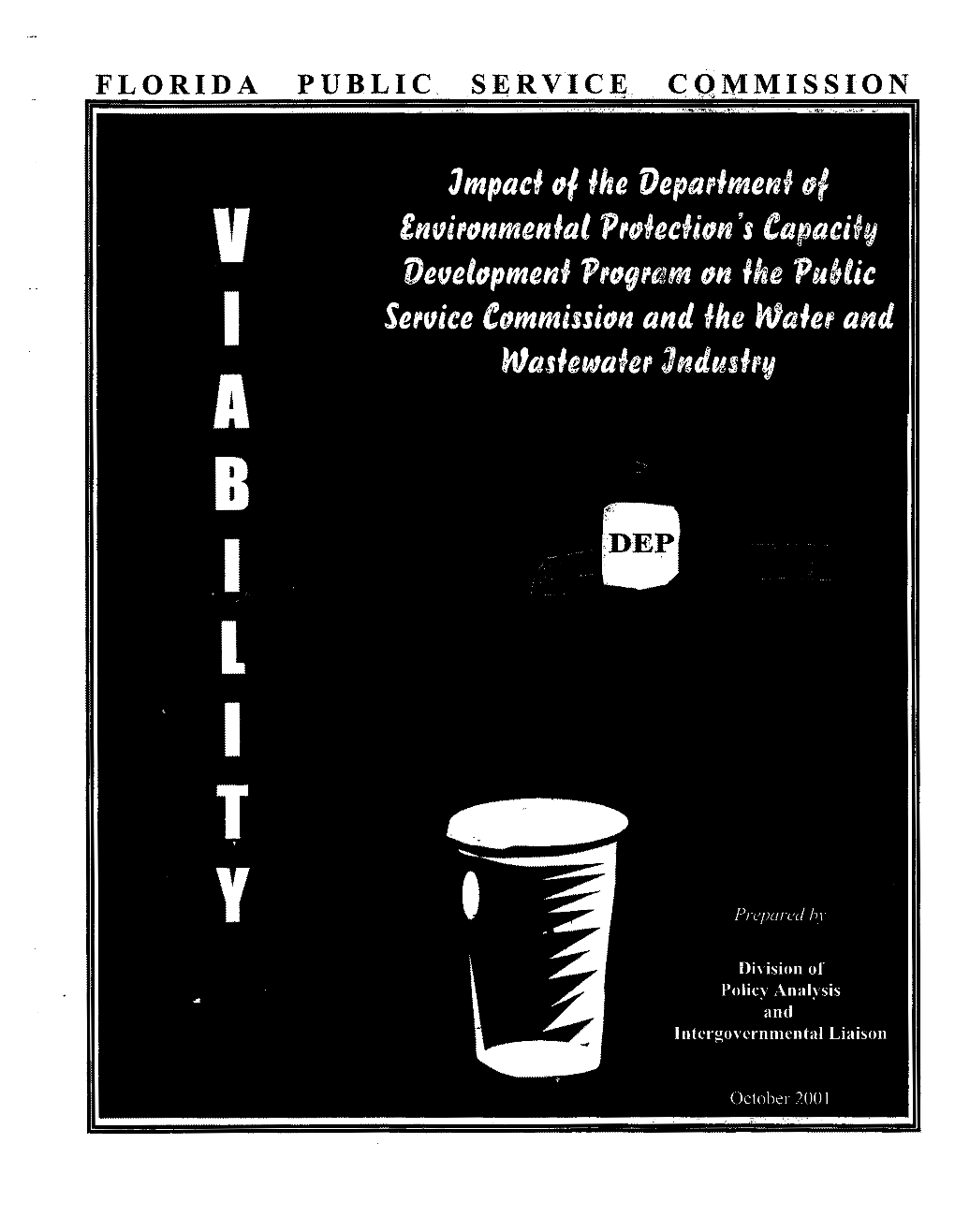 Viability: Impact of the Department of Environmental Protection’S Capacity Development Program