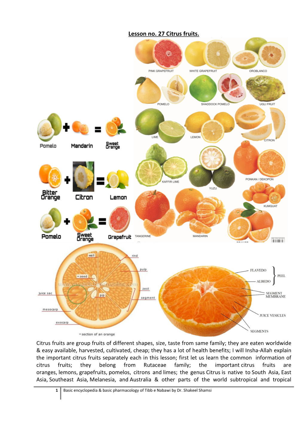 Lesson No. 27 Citrus Fruits