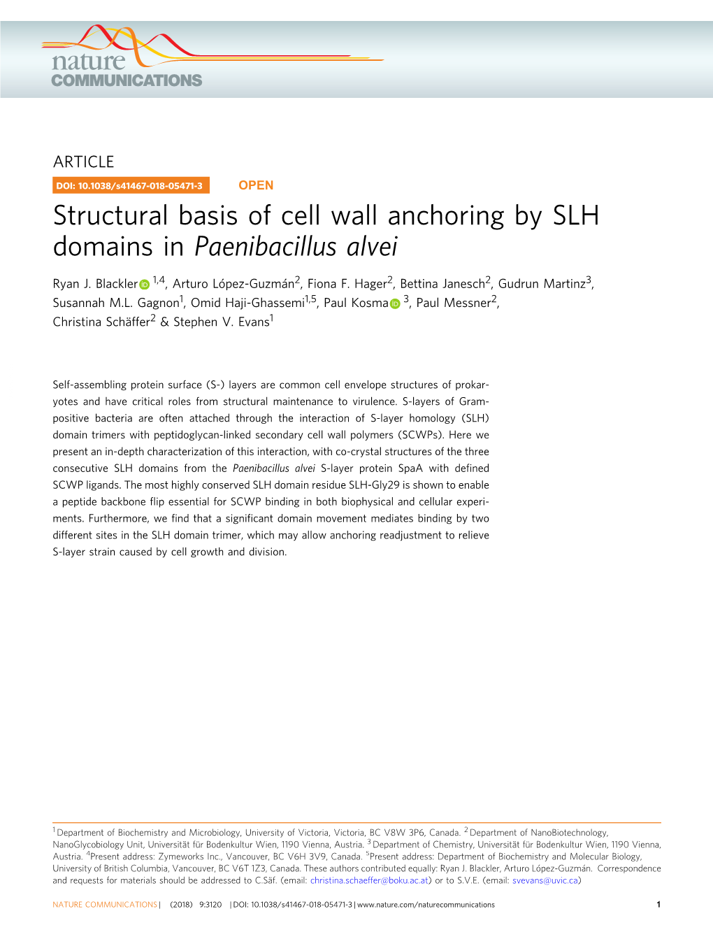 Structural Basis of Cell Wall Anchoring by SLH Domains in Paenibacillus Alvei
