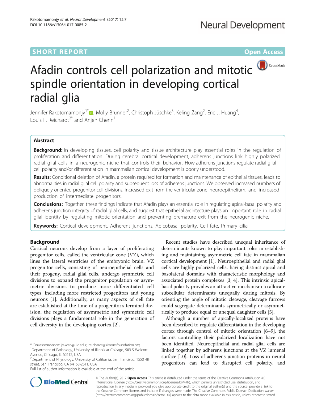 Afadin Controls Cell Polarization and Mitotic Spindle Orientation In