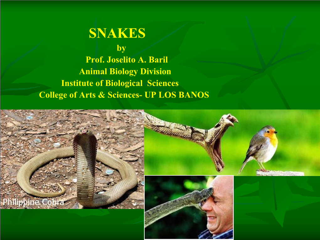 SNAKES by Prof