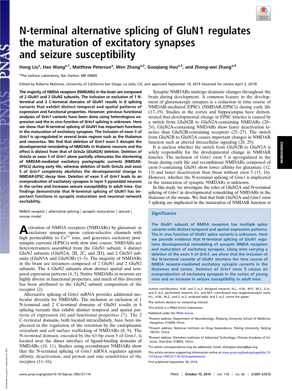 N-Terminal Alternative Splicing of Glun1 Regulates the Maturation of Excitatory Synapses and Seizure Susceptibility