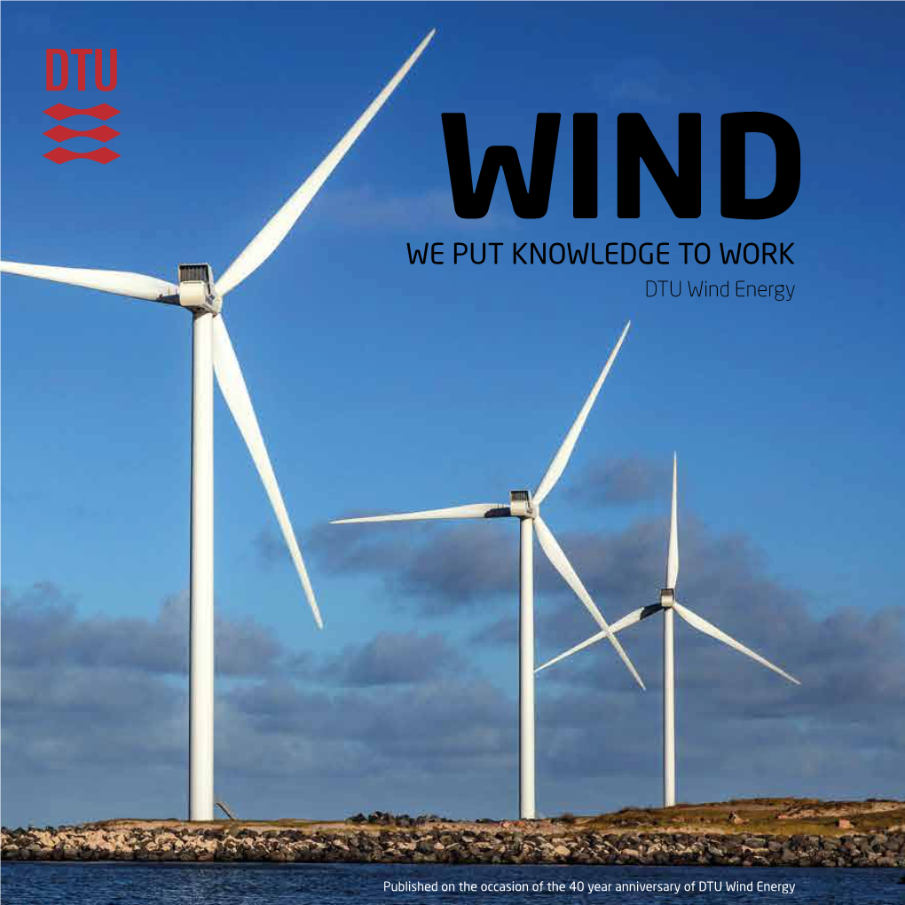 WIND | WE PUT KNOWLEDGE to WORK DTU Wind Energy Department of Wind Energy WIND 40 Years About Us and Story Tell the Wish to Book We with This and Development