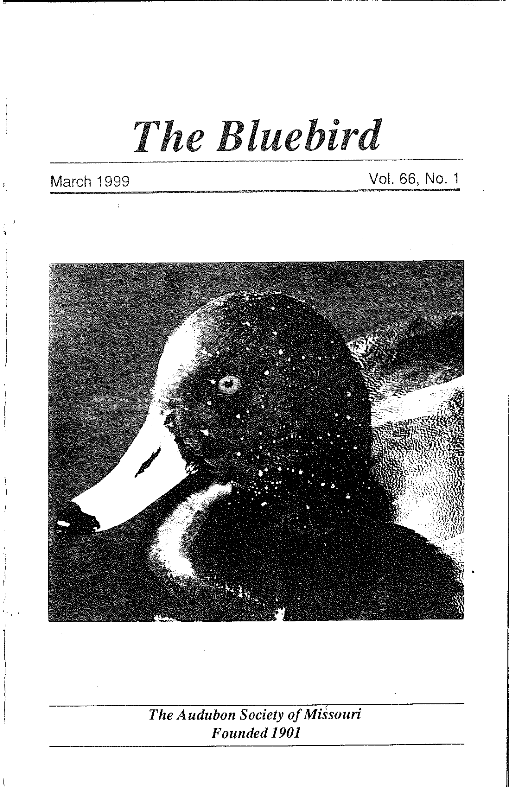 The Bluebird March 1999 Vol