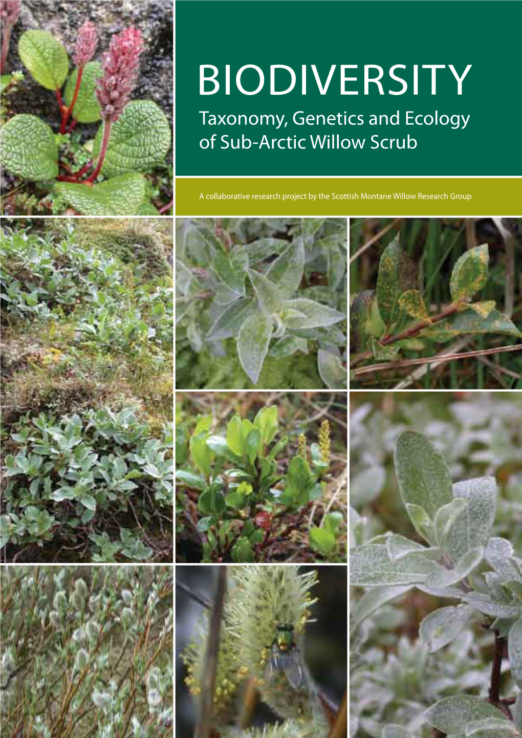 Biodiversity Taxonomy, Genetics and Ecology of Sub-Arctic Willow Scrub