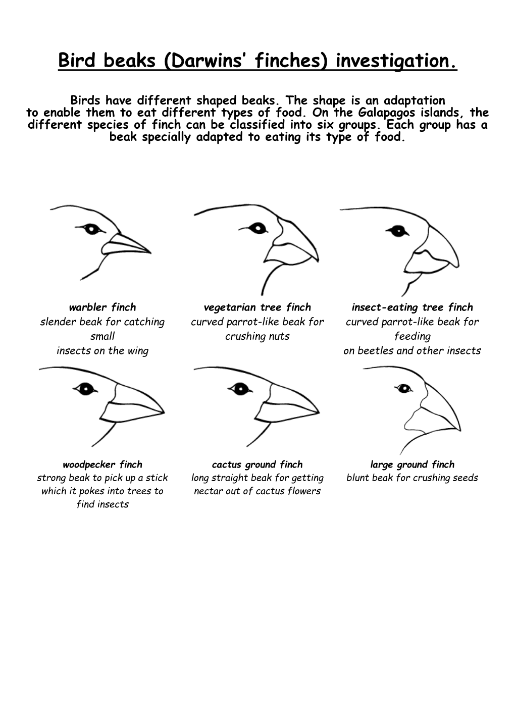 Bird Beaks (Darwins' Finches) Investigation