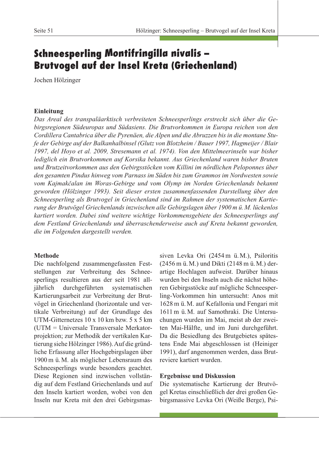 Schneesperling Montifringilla Nivalis – Brutvogel Auf Der Insel Kreta (Griechenland) Jochen Hölzinger