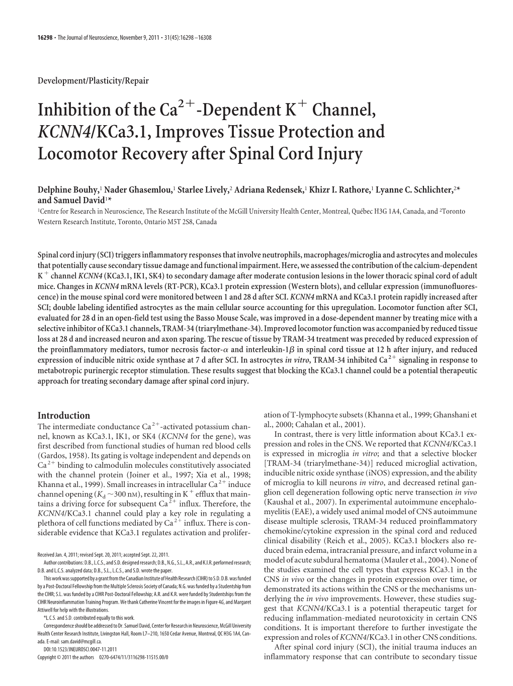 Dependent K Channel, KCNN4/Kca3.1, Improves Tissue