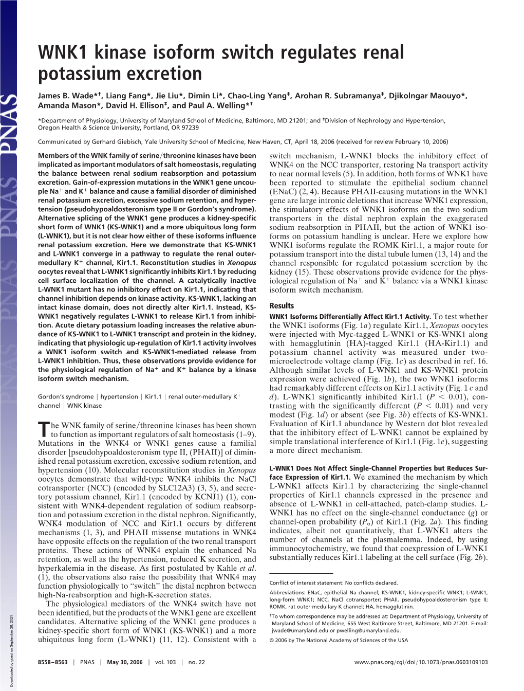 WNK1 Kinase Isoform Switch Regulates Renal Potassium Excretion