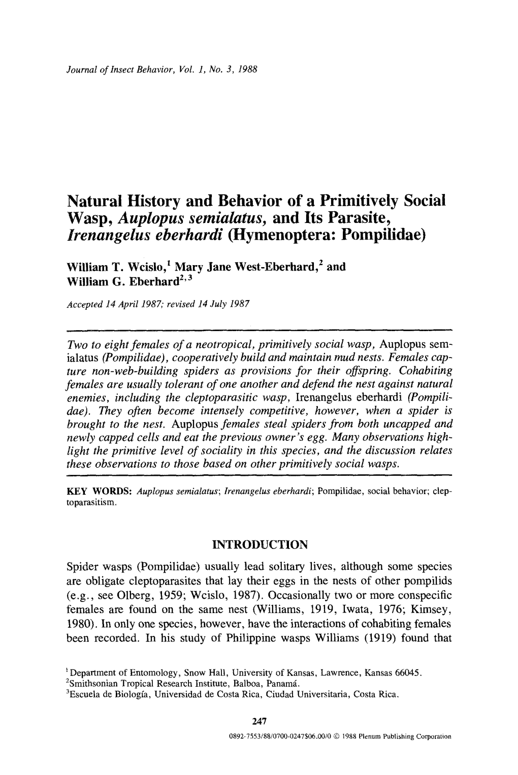 Natural History and Behavior of a Primitively Social Wasp, Auplopus Semialatus, and Its Parasite, Irenangelus Eberhardi (Hymenoptera: Pompilidae)