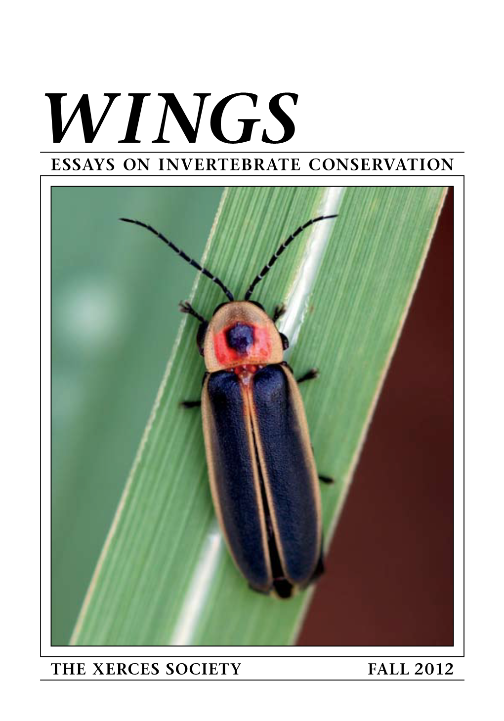 Essays on Invertebrate Conservation